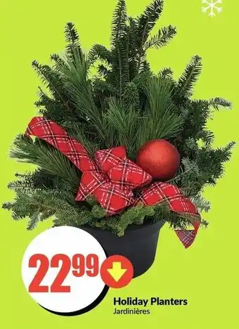 FreshCo Holiday Planters offer