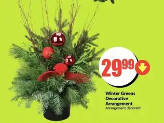 FreshCo Winter Greens Decoratice Arrangements offer