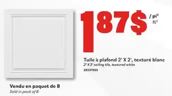 Matériaux Pont Masson 2' X 2' ceiling tile, textured white offer