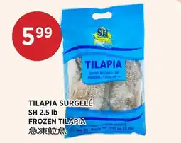 Kim Phat SH FROZEN TILAPIA offer