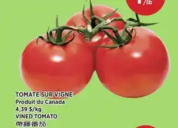 Kim Phat VINED TOMATO offer