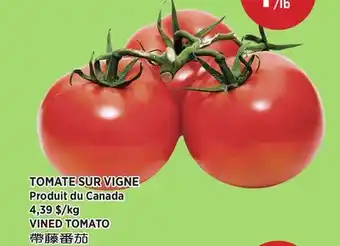 Kim Phat VINED TOMATO offer