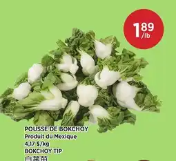 Kim Phat BOKCHOY TIP offer