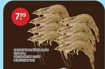 Kim Phat FRESH SHRIMP 20/30 offer