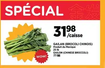 Kim Phat Gailon (Chinese Broccoli) offer