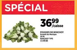 Kim Phat Bokchoy tips offer