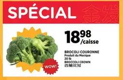 Kim Phat BROCCOLI CROWN offer