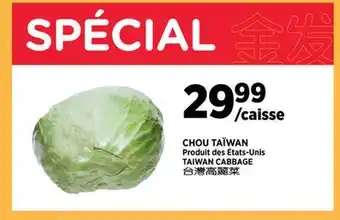 Kim Phat TAIWAN CABBAGE offer