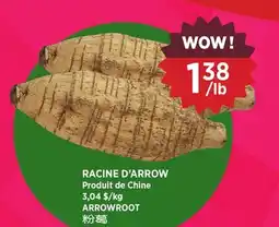 Kim Phat ARROWROOT offer