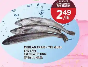 Kim Phat FRESH WHITTING offer