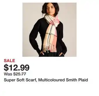 Chapters Indigo Super Soft Scarf, Multicoloured Smith Plaid offer