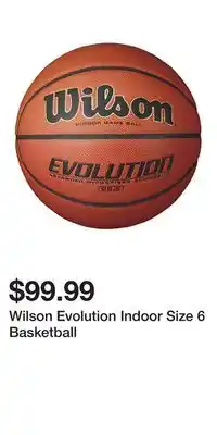 Sport Chek Wilson Evolution Indoor Size 6 Basketball offer