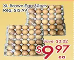 Sunny Food Mart XL Brown Egg offer