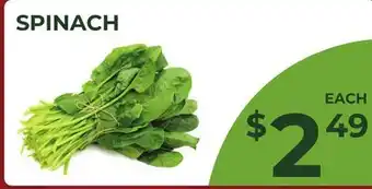 Food World Supermarket SPINACH offer