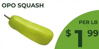 Food World Supermarket OPO SQUASH offer