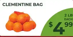 Food World Supermarket CLEMENTINE BAG offer