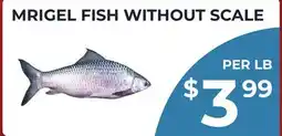 Food World Supermarket MRIGEL FISH WITHOUT SCALE offer