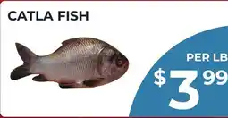 Food World Supermarket CATLA FISH offer