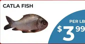 Food World Supermarket CATLA FISH offer