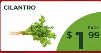 Food World Supermarket CILANTRO offer