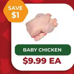 Food World Supermarket BABY CHICKEN offer