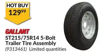 Princess Auto 5-Bolt Trailer Tire Assembly offer