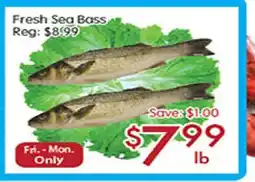 Sunny Food Mart Fresh Sea Bass offer