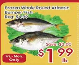 Sunny Food Mart Frozen Whole Round Atlantic Bumper Fish offer