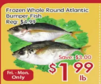 Sunny Food Mart Frozen Whole Round Atlantic Bumper Fish offer