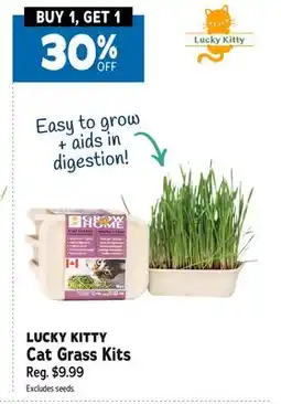 Ren’s Pets Depot LUCKY KITTY Cat Grass Kits offer