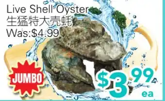 Ample Food Market Live Shell Oyster offer