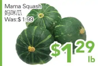 Ample Food Market Mama Squash offer