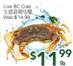 Ample Food Market Live BC Crab offer