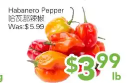 Ample Food Market Habanero Pepper offer