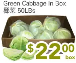 Ample Food Market Green Cabbage in Box offer