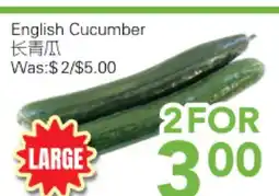 Ample Food Market English Cucumber offer