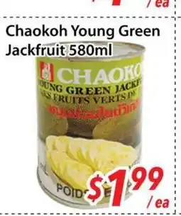 Bestco Food Mart Chaokoh Young Green Jackfruit 580 ml offer