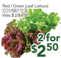 Ample Food Market Red/Green Leaf Lettuce offer