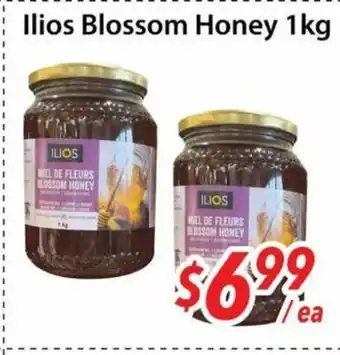 Bestco Food Mart Ilios Blossom Honey offer