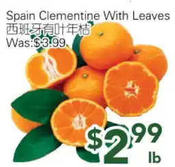 Ample Food Market Spain Clementine With Leaves offer