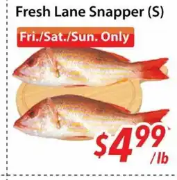 Bestco Food Mart Fresh Lane Snapper offer