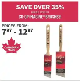 Co-op Co-op imagine brushes offer