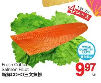 T&T Supermarket FRESH COHO SALMON FILLET offer