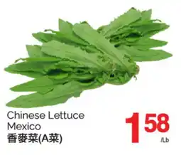 T&T Supermarket CHINESE LETTUCE offer