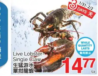 T&T Supermarket LIVE LOBSTER SINGLE CLAW offer