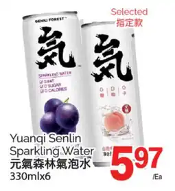 T&T Supermarket YUANQI SELIN SPARKLING WATER, 330 ML X 6 offer