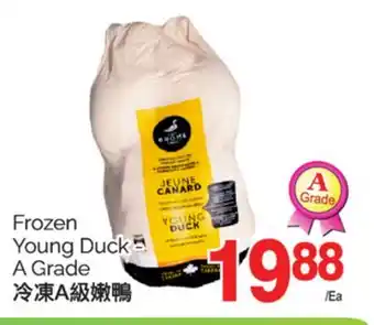 T&T Supermarket FROZEN YOUNG DUCK A GRADE offer