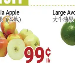 Oceans Fresh Food Market Ambrosia Apple offer