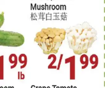 Oceans Fresh Food Market Beech/White Mushroom offer