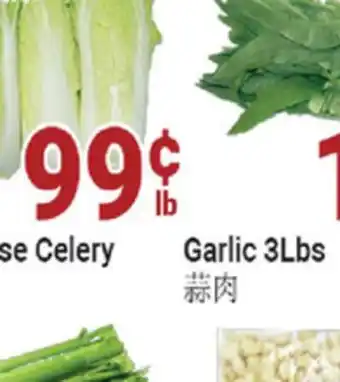 Oceans Fresh Food Market Taiwan Bok Choy offer